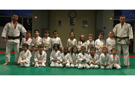 Remise des nouveaux grades Cours Baby-Judo Tarbes 16 décembre 2016