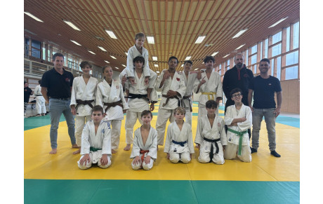 Stage Benjamins/Minimes/Cadets et Enseignants/Dirigeants 65 Tarbes 28 septembre 2025